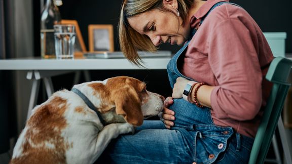 High-risk pregnant woman with dog