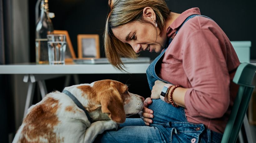 High-risk pregnant woman with dog